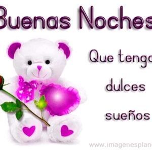 Meet your Posher, Sandy